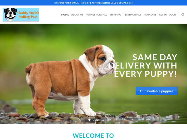 Healthyenglishbulldogpups.com - English Bulldog Puppy Scam Review