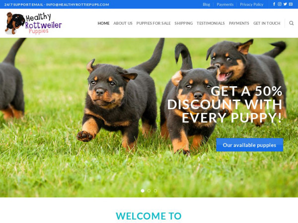 Healthyrottiepups.com - Rottweiler Puppy Scam Review