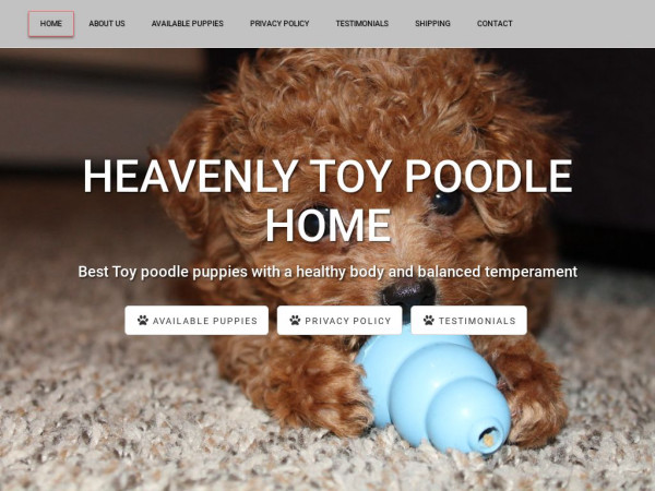 Heavenlytoypoodlehome.com - Poodle Puppy Scam Review