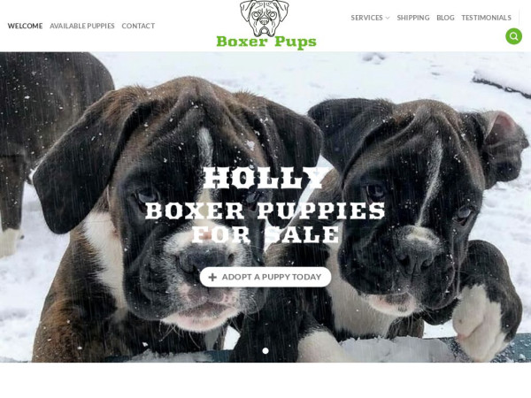 Hollyboxerpuppies.com - Boxer Puppy Scam Review