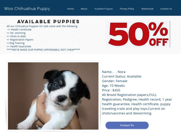 Lovelyhappypuppy.com - Chihuahua Puppy Scam Review