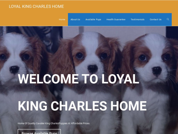 Loyalkingcharleshome.com - Cavalier King Charles Spaniel Puppy Scam Review