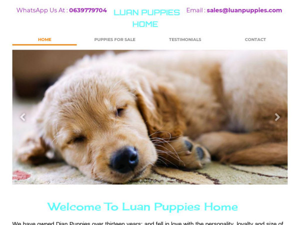 Luanpuppies.com - Golden Retriever Puppy Scam Review