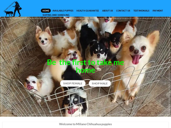 Milianochihuahuapuppies.com - Chihuahua Puppy Scam Review