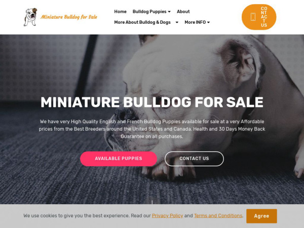 Miniaturebulldogforsale.com - Bulldog Puppy Scam Review