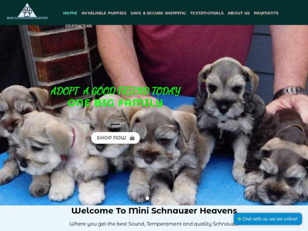 Minichnauzersheavens.com - Schnauzer Puppy Scam Review