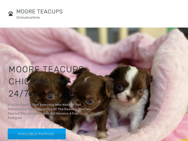 Mooreteacupchihuahuahome.com - Chihuahua Puppy Scam Review