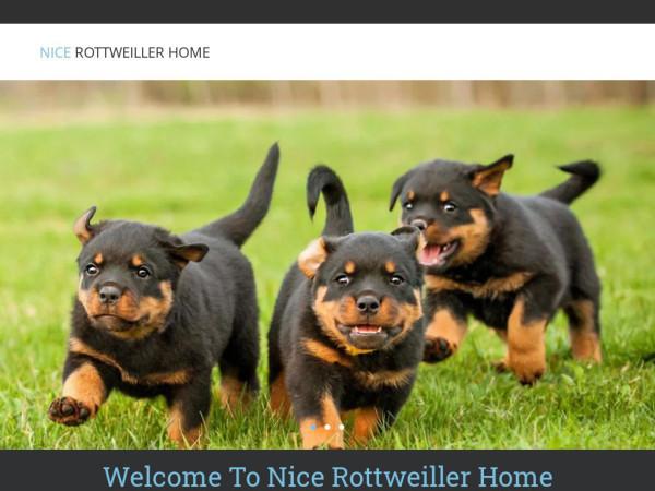 Nicepupshome.com - Rottweiler Puppy Scam Review