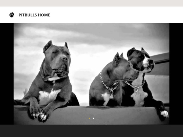 Pampitbulls.com - Pit Bull Puppy Scam Review