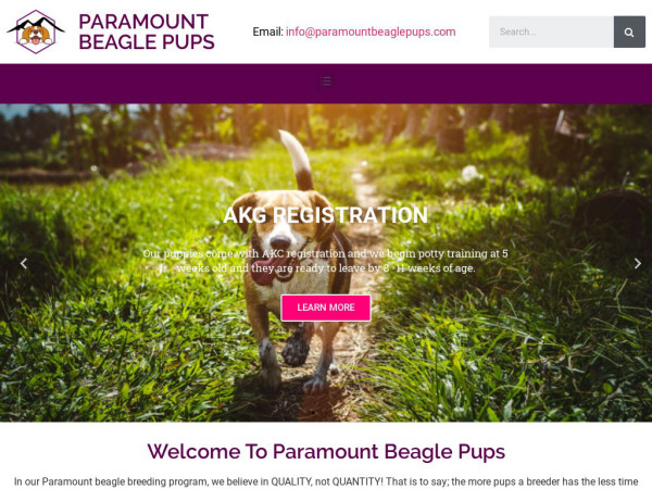 Paramountbeaglepups.com - Beagle Puppy Scam Review