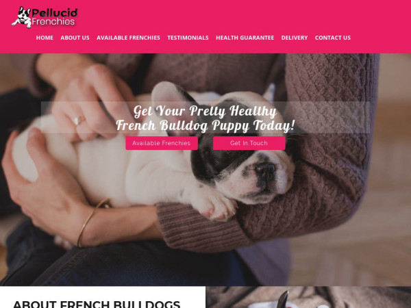 Pellucidfrenchies.com - French Bulldog Puppy Scam Review