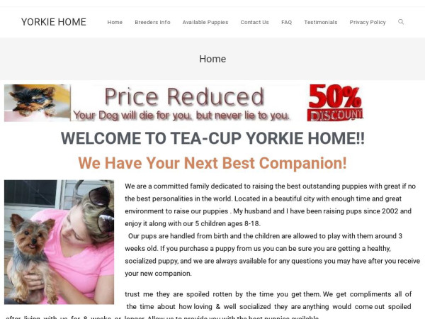 Petformyhome.com - Yorkshire Terrier Puppy Scam Review