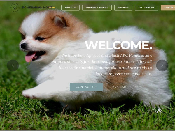 Pomeranianshome.com - Pomeranian Puppy Scam Review