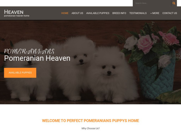 Pomsheaven.com - Pomeranian Puppy Scam Review