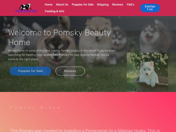 Pomskybeauty.com - Pomeranian Puppy Scam Review