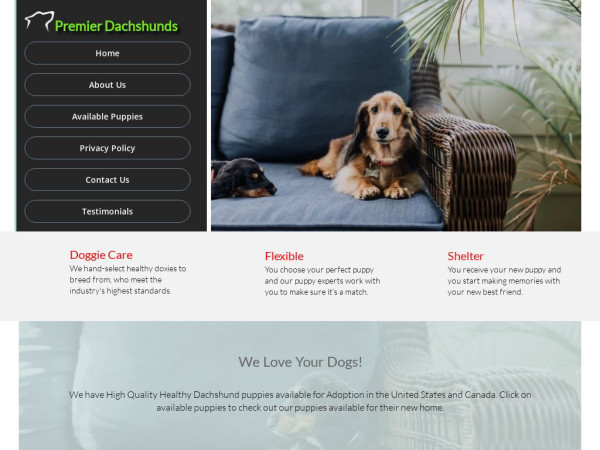 Premierdachshund.com - Dachshund Puppy Scam Review