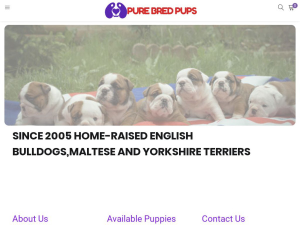 Purebredpups-sa.com - Labrador Puppy Scam Review