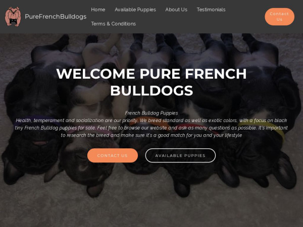 Purefrenchbulldog.com - French Bulldog Puppy Scam Review