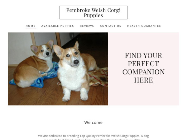 Pwelshcorgis.com - Corgi Puppy Scam Review