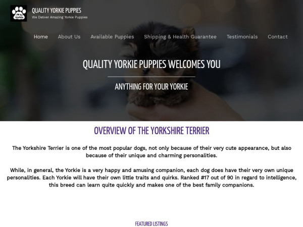 Qualityyorkiepuppies.com - Yorkshire Terrier Puppy Scam Review