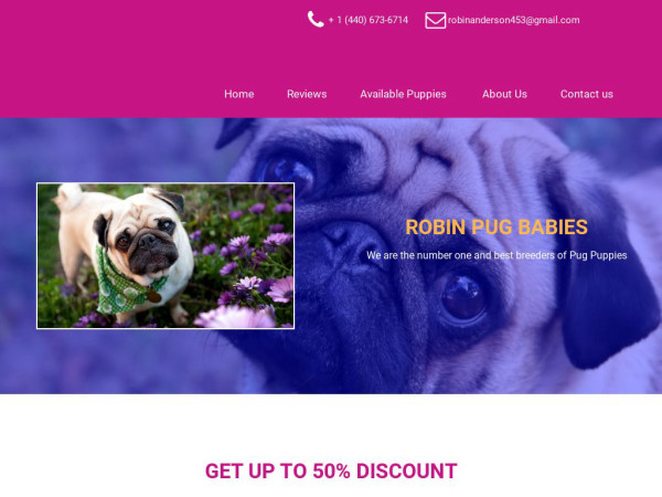 Robinpugbabies.com - Pug Puppy Scam Review