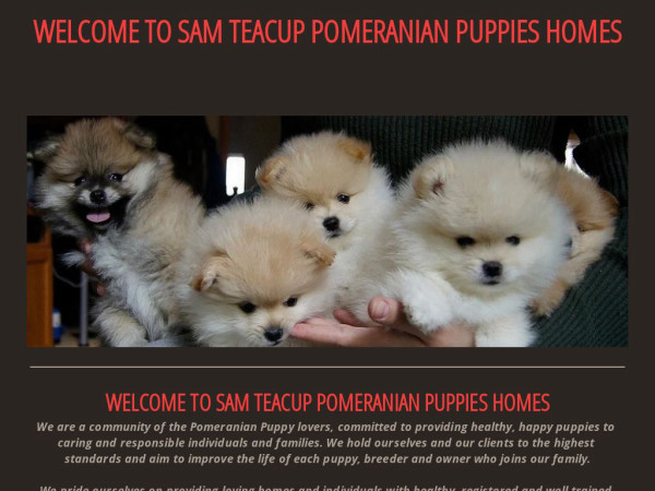 Samteacuppomeranianpuppieshomes.com - Pomeranian Puppy Scam Review