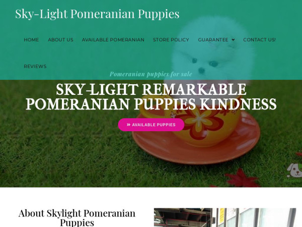 Skylightpomeranian.com - Pomeranian Puppy Scam Review