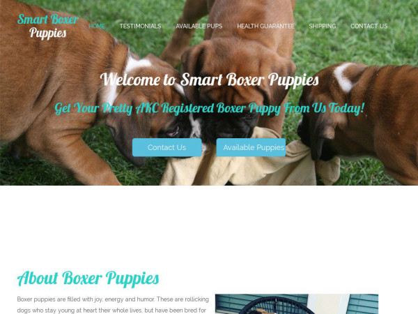 Smartboxerpuppies.com - Boxer Puppy Scam Review