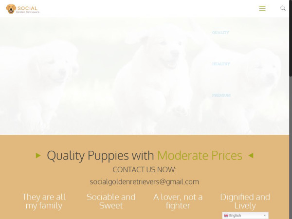 Socialgoldenretrievers.com - Golden Retriever Puppy Scam Review