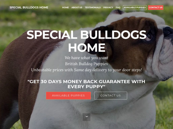 Specialbulldogs.com - Bulldog Puppy Scam Review