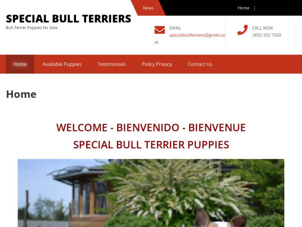 Specialbullterriers.com - Terrier Puppy Scam Review