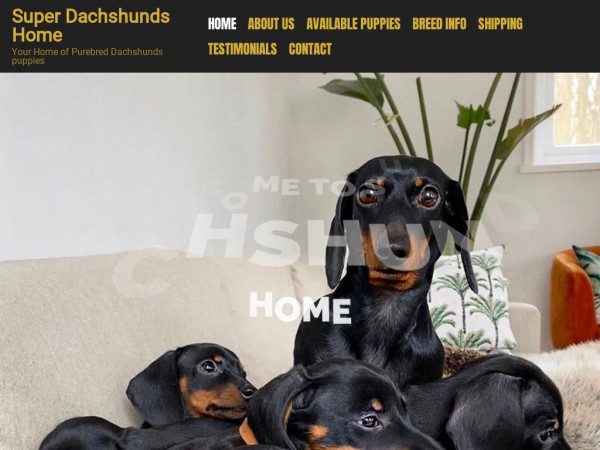 Superdachshundshome.com - Dachshund Puppy Scam Review