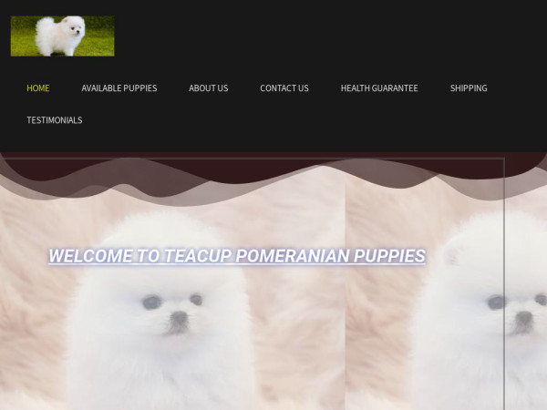 Teacuppomeranianexclusivepetshome.com - Pomeranian Puppy Scam Review