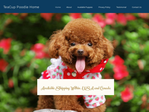 Teacuppoodlehome.com - Poodle Puppy Scam Review