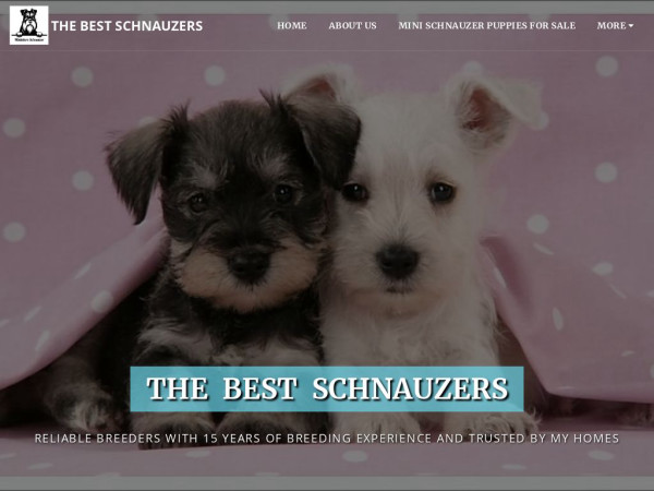 Thebestschnauzers.com - Schnauzer Puppy Scam Review