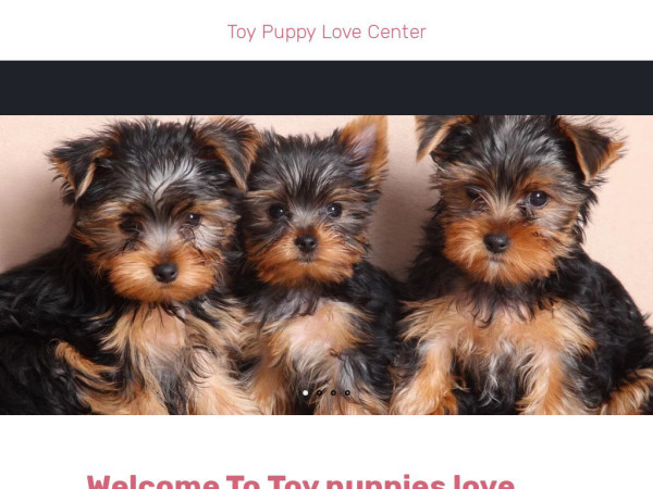 Toypuppylovecenter.com - Maltese Puppy Scam Review