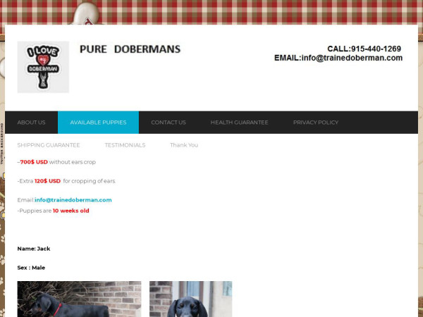 Trainedoberman.com - Doberman Pinscher Puppy Scam Review