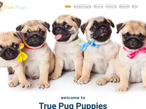 Truepugs.com - Pug Puppy Scam Review