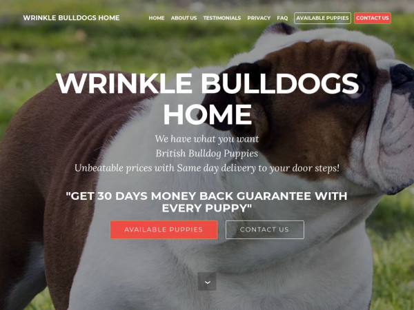 Wrinklebulldoghome.com - Bulldog Puppy Scam Review