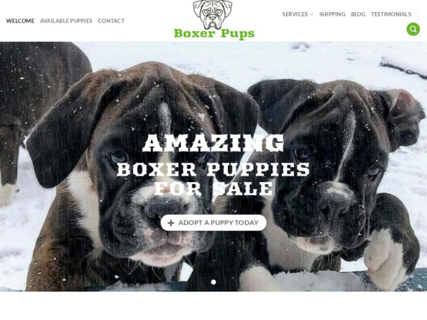 Amazingboxerpuppies.com - Boxer Puppy Scam Review