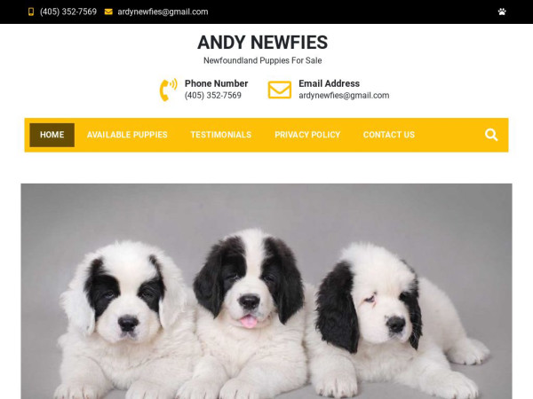 Andynewfies.com - French Bulldog Puppy Scam Review