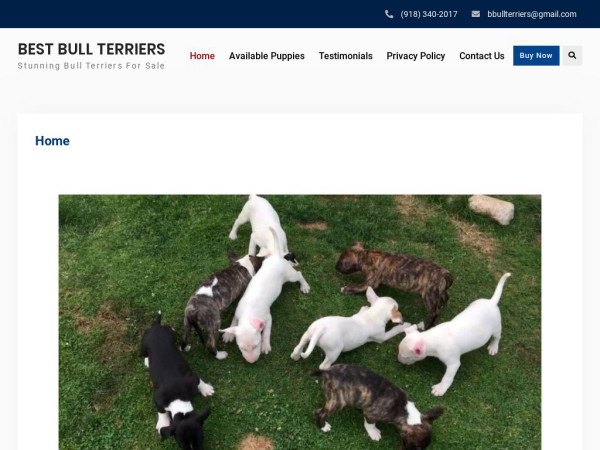 Bestbullterriers.com - Terrier Puppy Scam Review