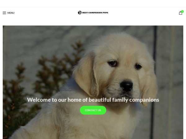 Bestcompanionpups.com - Golden Retriever Puppy Scam Review