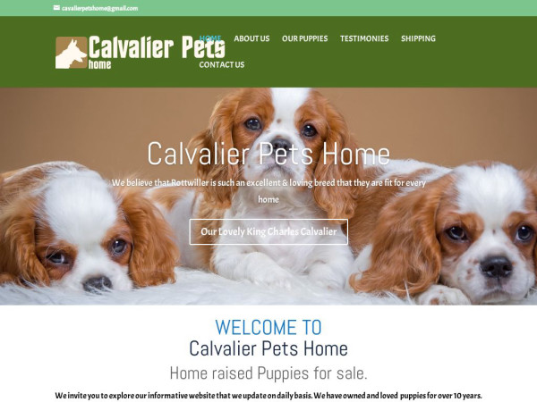 Calvalierpetshome.com - Cavalier King Charles Spaniel Puppy Scam Review