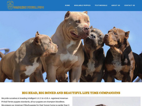 Companionpitbullpups.com - Pit Bull Puppy Scam Review