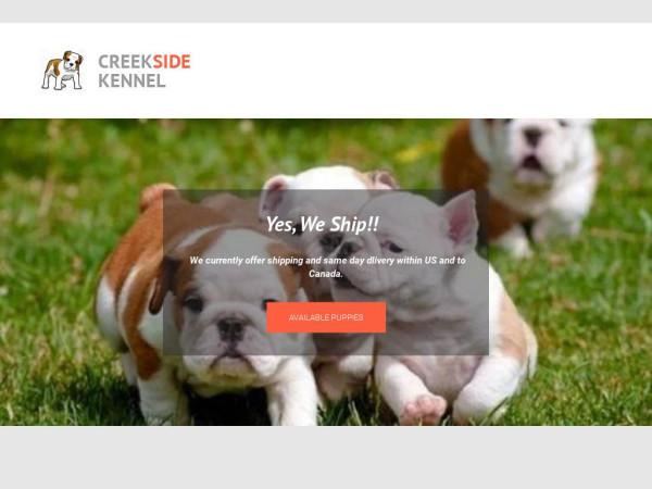 Creeksidekenel.com - English Bulldog Puppy Scam Review