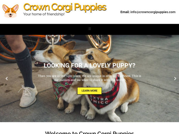 Crowncorgipuppies.com - Corgi Puppy Scam Review