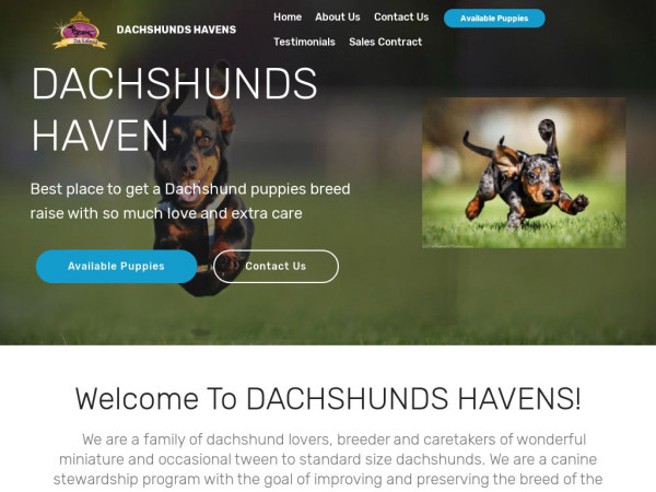 Dachshundshaven.com - Dachshund Puppy Scam Review