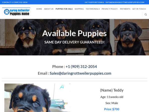 Daringrottweilerpuppies.com - Great Dane Puppy Scam Review