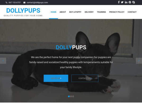 Dollypups.com - French Bulldog Puppy Scam Review